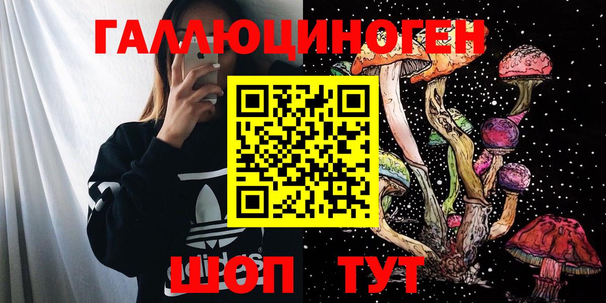 Новороссийск  Галлюциногенные грибы GOLDEN TEACHER  как найти закладки  Вход с VPN 